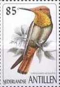 Ruby-topaz Hummingbird (Chrysolampis mosquitus)
