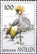 Grey crowned crane (Balearica regulorum)