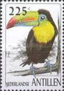Keel-billed Toucan (Ramphastos sulfuratus)