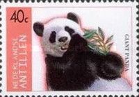 Giant Panda (Ailuropoda melanoleuca)