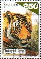 Tiger (Panthera tigris)