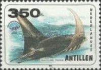 Giant Oceanic Manta Ray (Manta birostris)