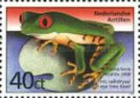Red-eyed Tree Frog (Agalychnis callidryas)
