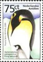 King Penguin (Aptenodytes patagonicus)
