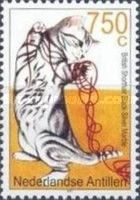 Black-silver Marbled British Shorthair (Felis silvestris cat