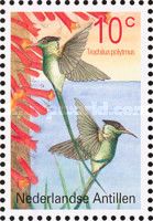Red-billed Streamertail (Trochilus polytmus)