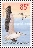 Great White Pelican (Pelecanus onocrotalus)