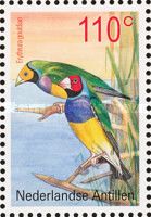 Gouldian Finch (Erythrura gouldiae)