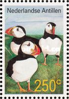 Atlantic Puffin (Fratercula arctica)
