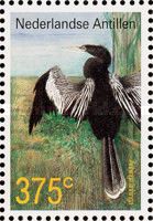 Anhinga (Anhinga anhinga)