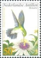 Blue-tailed Emerald (Chlorostilbon mellisugus), Wild Maracuj