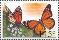 Monarch Butterfly (Danaus plexippus)