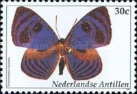 Capanea Eyemark (Semomesia capanea)