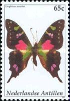 Purple Spotted Swallowtail (Graphium weiskei)