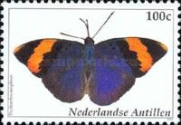 Gold-banded Forester (Euphaedra neophron)