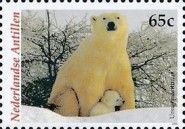 Polar Bear (Ursus maritimus)