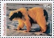 Polar Bear (Ursus maritimus)