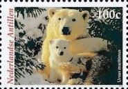 Polar Bear (Ursus maritimus)
