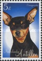 Miniature Pinscher (Canis lupus familiaris)