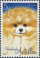 Pomeranian (Canis lupus familiaris)