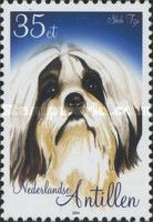 Shih Tzu (Canis lupus familiaris)