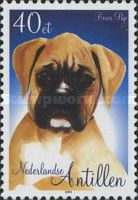 German Boxer (Canis lupus familiaris)