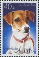 Jack Russell Terrier (Canis lupus familiaris)