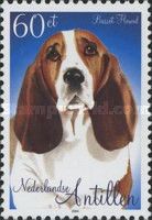 Basset Hound (Canis lupus familiaris)