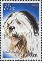 Old English Sheepdog/Bobtail (Canis lupus familiaris)