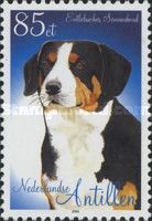 Entlebuch Cattle Dog (Canis lupus familiaris)