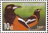 Venezuelan Troupial (Icterus icterus)