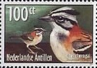 Rufous-collared Sparrow (Zonotrichia capensis)