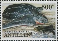 Leatherback Sea Turtle (Dermochelys coriacea)