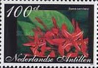 Ixora coccinea