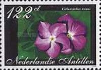Catharanthus roseus