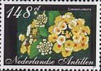 Lantana camara