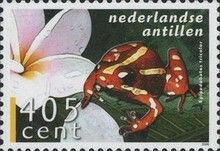 Phantasmal Poison-arrow Frog (Epipedobates tricolor)