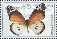 African Monarch (Danaus chrysippus)