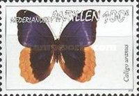 Gold-edged Owl-Butterfly (Caligo uranus)
