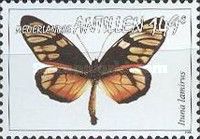 Milkweed Butterfly (Ituna lamirus)