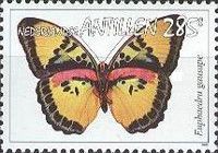 Western Striped Forester (Euphaedra gausape)