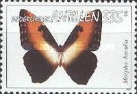 Sunset Morpho (Morpho hecuba)