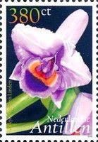 Cattleya chocoensis Linden