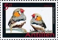 Zebra Finch (Taeniopygia guttatta)