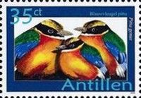 Blue-winged Pitta (Pitta genus)