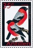 Eurasian Bullfinch (Pyrrhula pyrrhula)