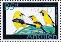 Yellow Oriole (Icterus nigrogularis)