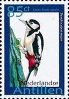 Great Spotted Woodpecker (Dendrocopos major)