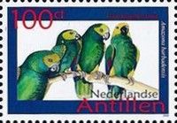 Yellow-shouldered Parrot (Amazona barbadensis)