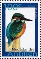Common Kingfisher (Alcedo atthis)